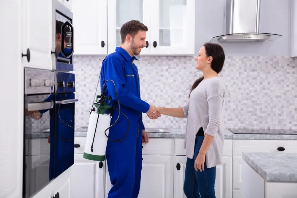 Pest Control Experts - El Dorado Hills Best Pest Pros | El Dorado Hills, CA | 510-588-5889